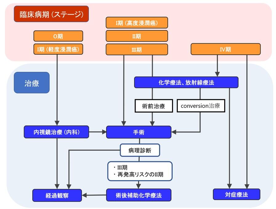 高度進行がんへの術前化学放射線療法を含む集学的治療